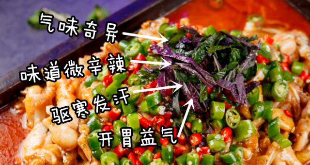 年度大事件，那家魔都超人气牛蛙店，失踪了？