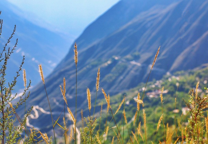 朋友圈里的新网红“浮云牧场”为何成功？