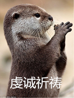 长大嘎子哥现状,嘎子哥长大后的视频