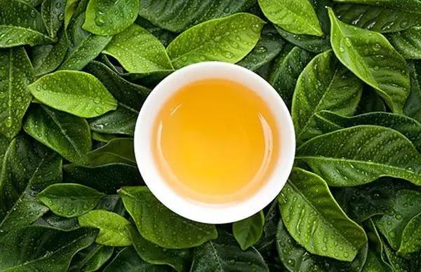 宜兴人过日子的条件,宜兴人到底怎么样