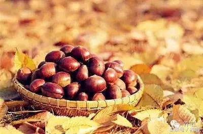 告别腰疼腿麻的方法,产后腰痛怎么缓解最简单的方法