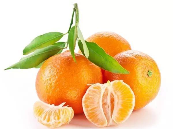 白金橘特效,金桔的特效