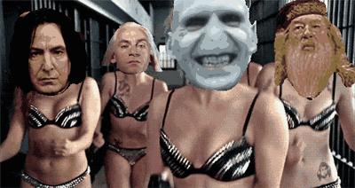 神奇动物中的咒语都有哪些,看神奇动物需要知道的事