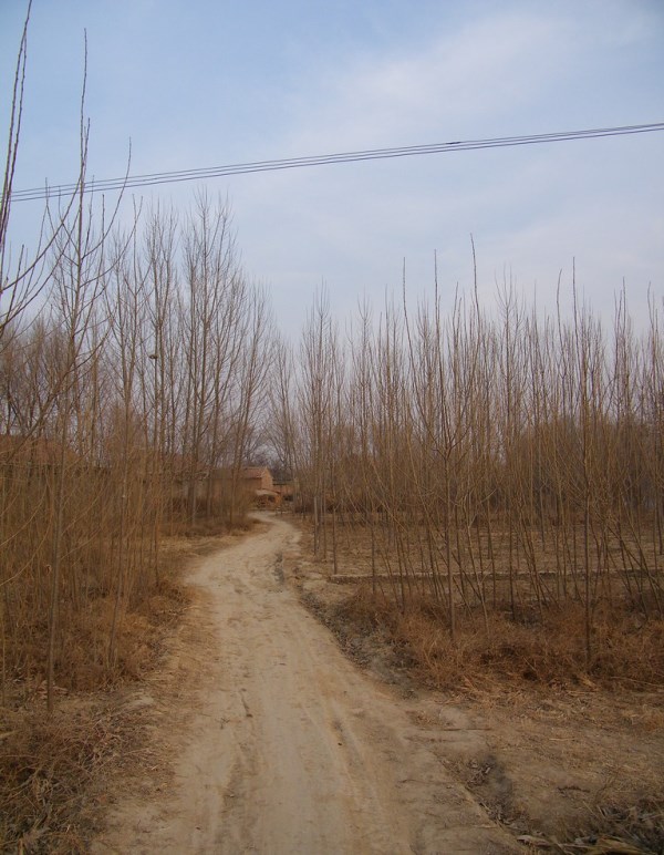 在北方思念南方的家,在南方想念北方下雪的句子