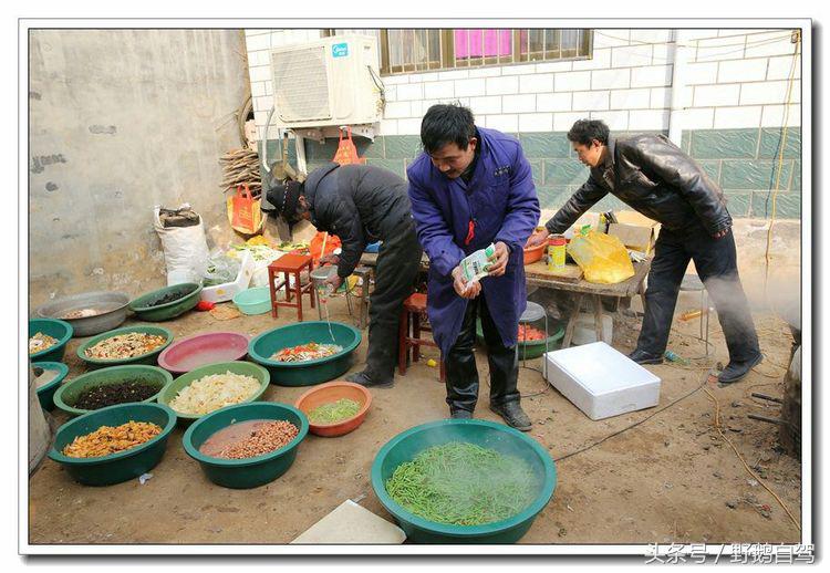 野鹅自驾甘肃,野鹅自驾