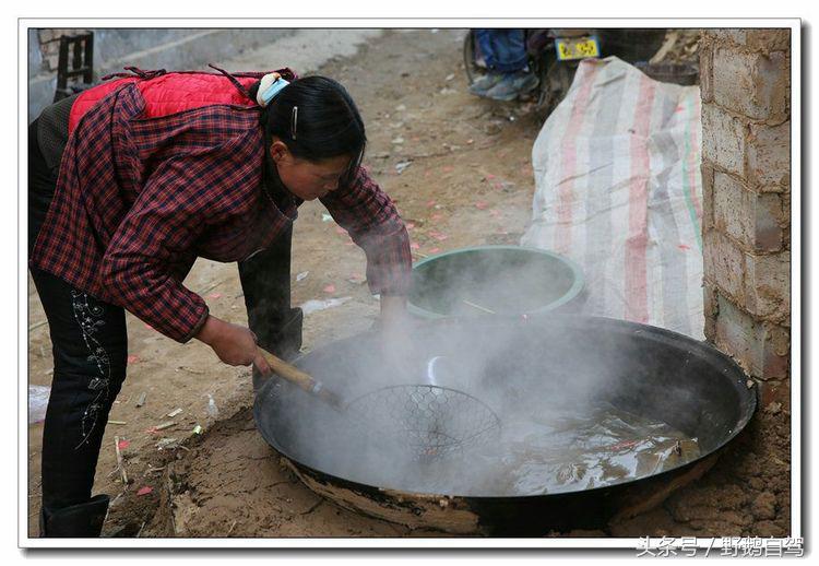 野鹅自驾甘肃,野鹅自驾