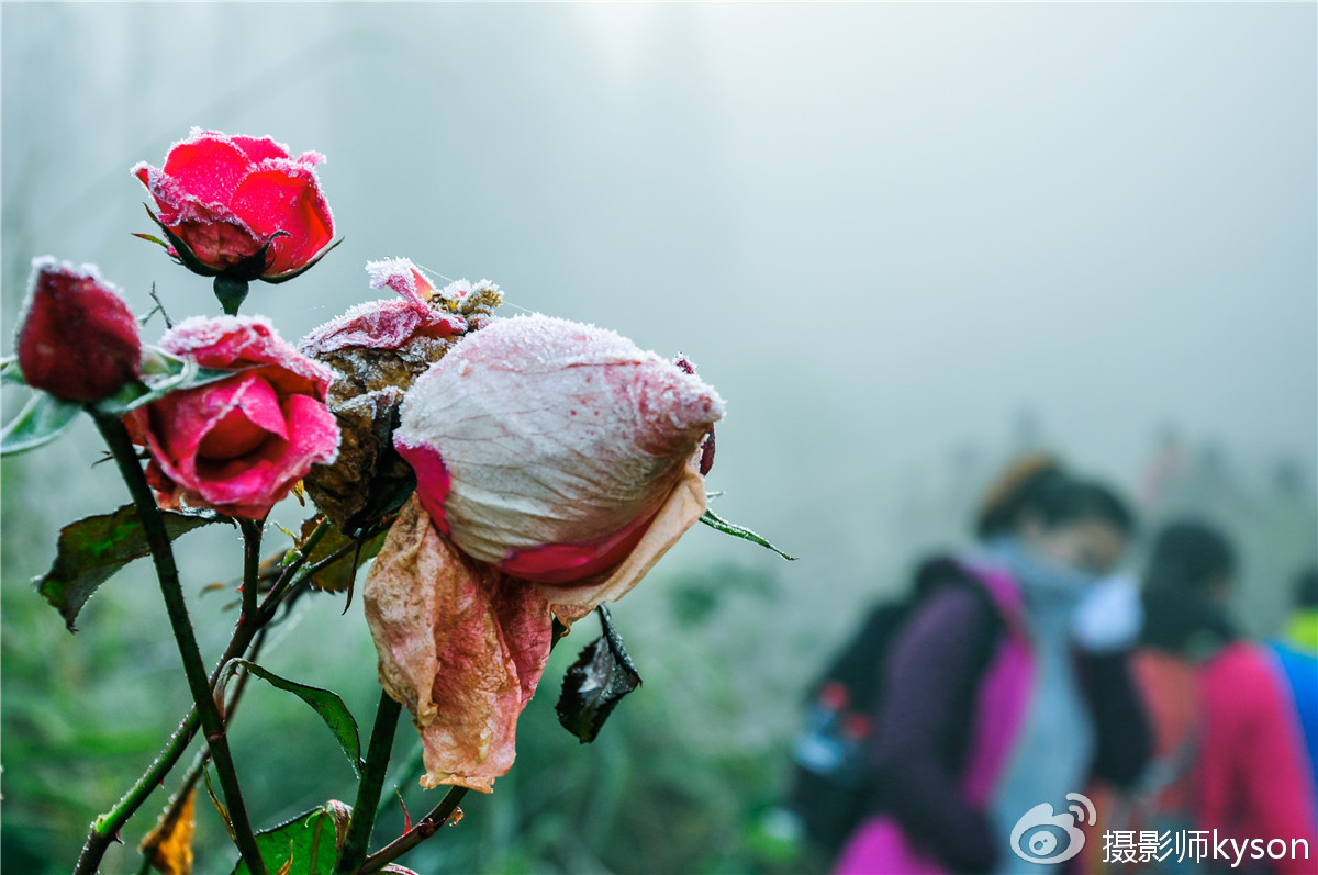 侠之梦受邀参与恩施坪坝营线路测试，冬季溯溪，冰冷刺骨，第一天