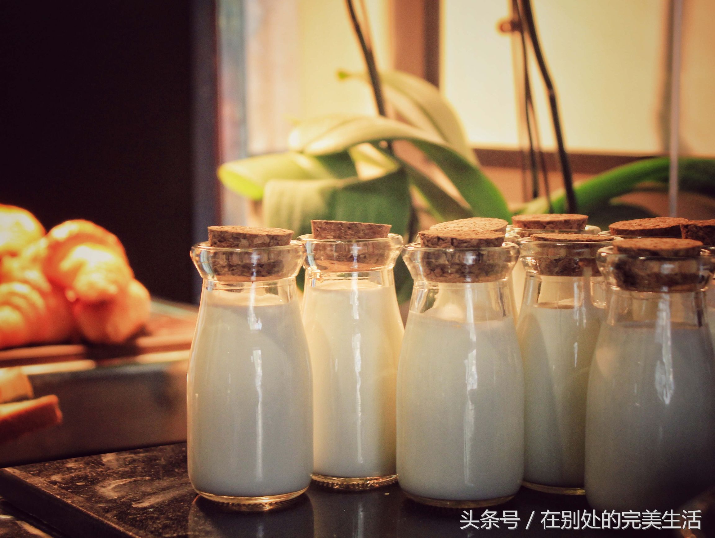 南京颐和公馆攻略,南京颐和公馆游记