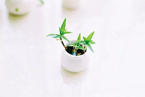 经典的心灵鸡汤句子适合发朋友圈,早安心灵鸡汤简短好句子朋友圈