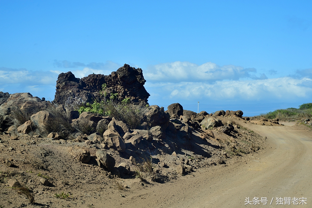 夏威夷|风之魔力,火山星球