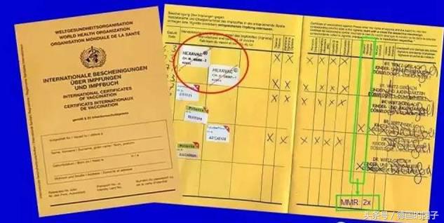 真人真事：我在德国注射疫苗的全过程，德国疫苗能代购吗？