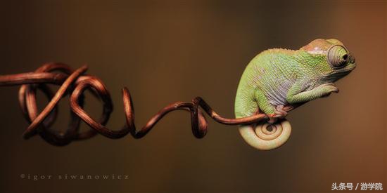 摄影答疑,解答摄影问题