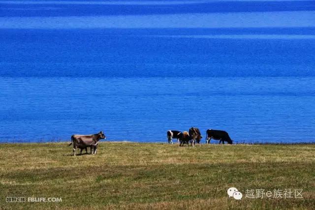 开着房车旅行说走就走,说走就走出去玩视频