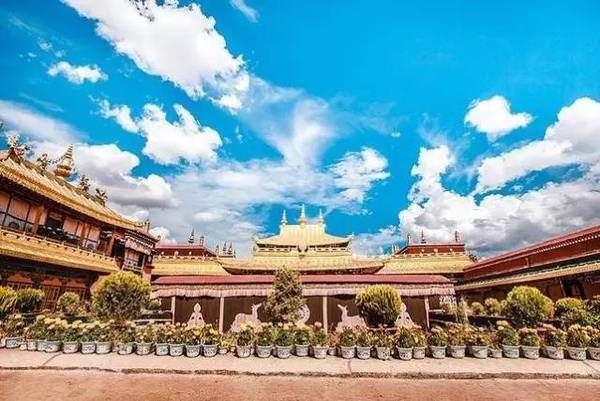 为什么*藏西**总是不包邮?