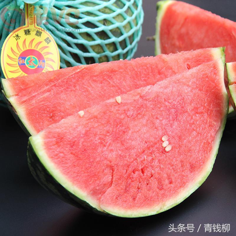 大棚麒麟西瓜基地,麒麟西瓜种子催芽方法