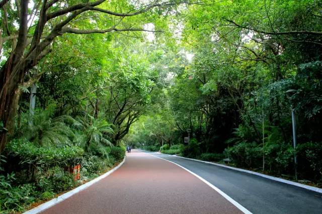 2021年南宁平均工资,南宁市2017平均工资标准