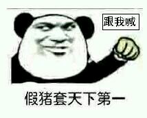 假猪套天下第一什么梗,地下城假猪套天下第一