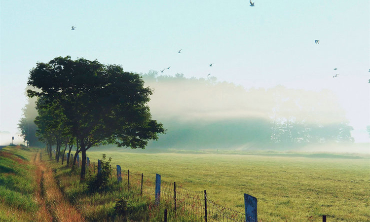 经典语录人生感悟人情冷暖,佛语人情冷暖世态炎凉语录