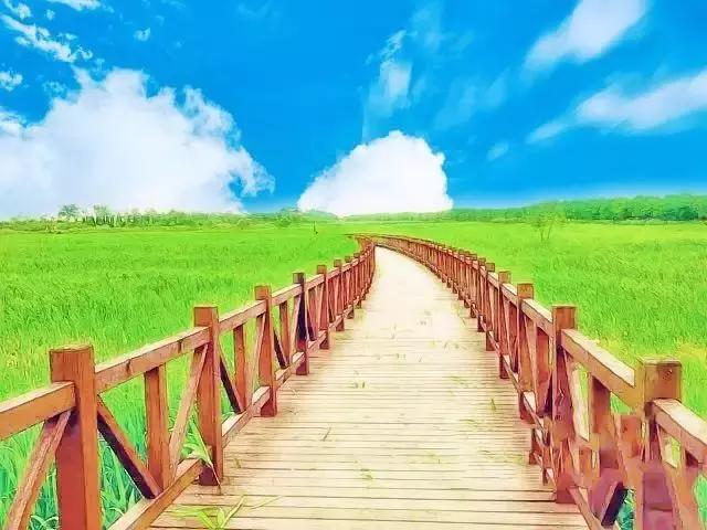 动漫风的美景,美景图动漫