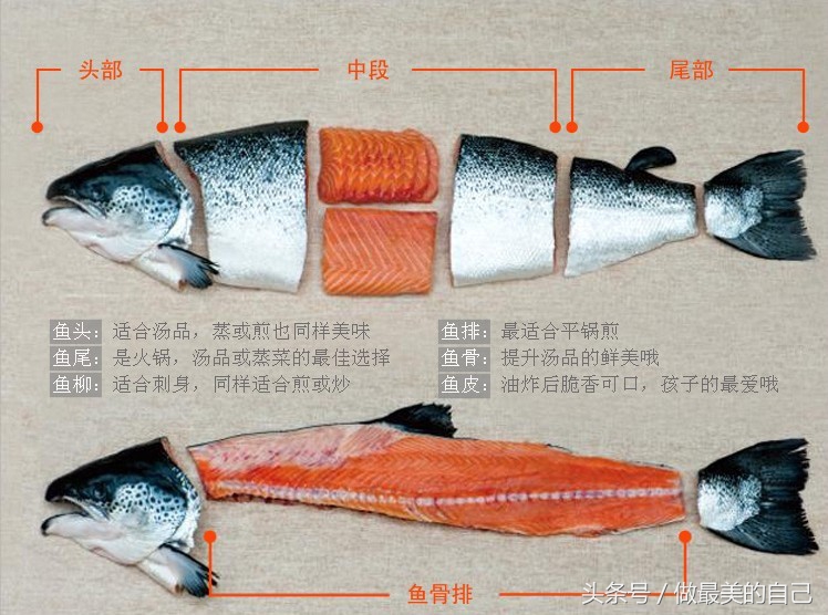 三文鱼的价值,三文鱼为什么越来越便宜