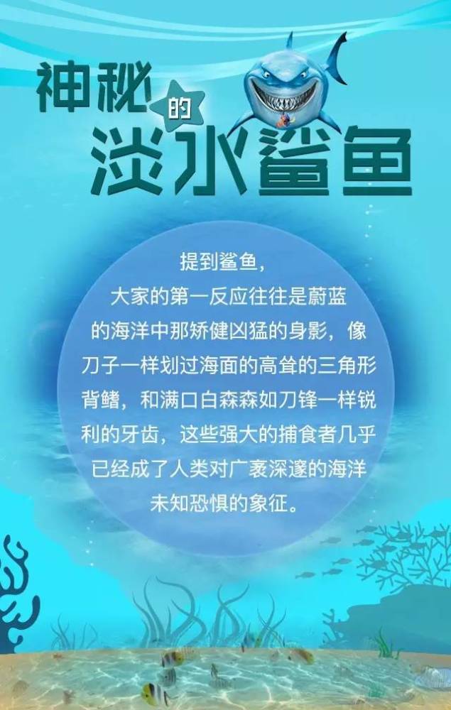 鲨鱼可以潜入海底吗,淡水鲨鱼深海鲨鱼