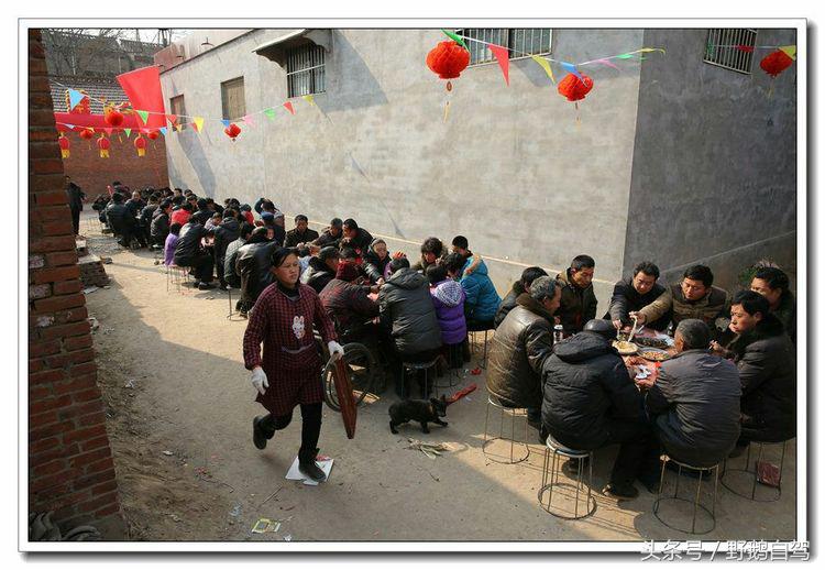 野鹅自驾甘肃,野鹅自驾