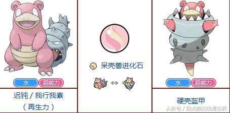 口袋妖怪xy有mega进化吗,口袋妖怪xymega进化图