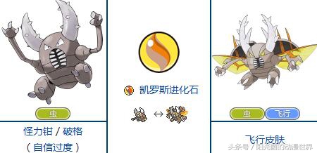 口袋妖怪xy有mega进化吗,口袋妖怪xymega进化图