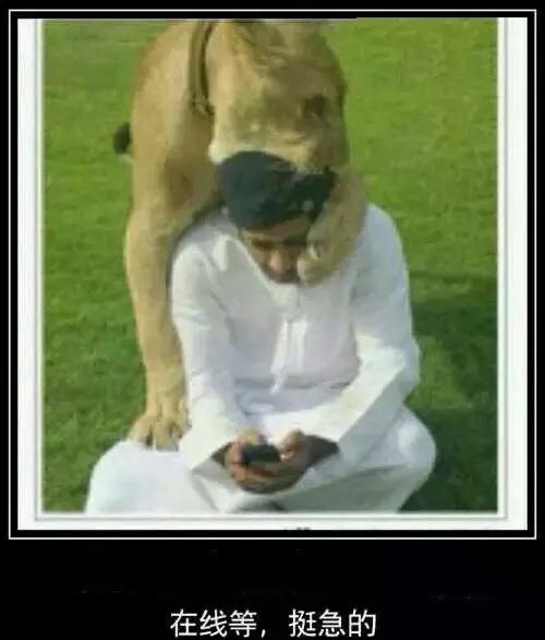 手机没有耳机插孔怎么办,为什么手机都取消了耳机插孔