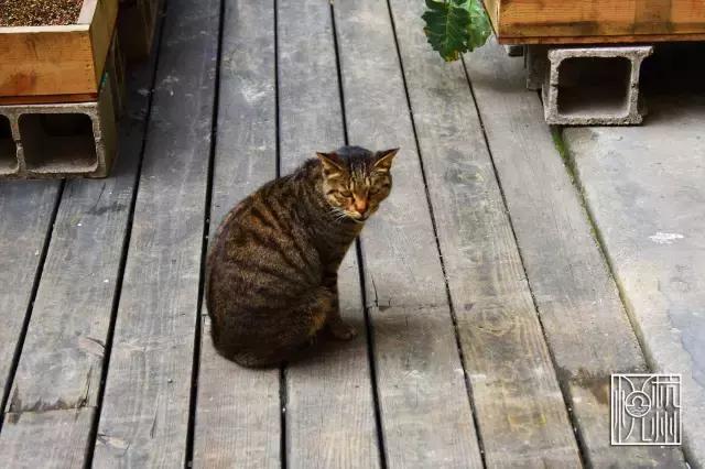 见过了那么多食堂,这家公司却为了员工吃得更好包下了一整片农场