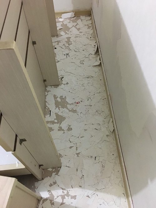 旅行走过30个城市,旅行走过几百个城市