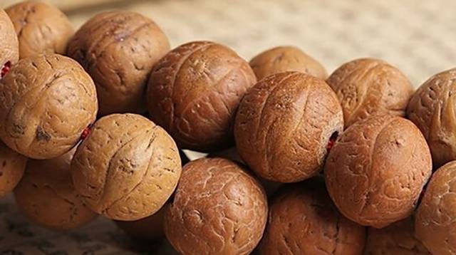 凤眼菩提避坑之难,凤眼菩提的知识