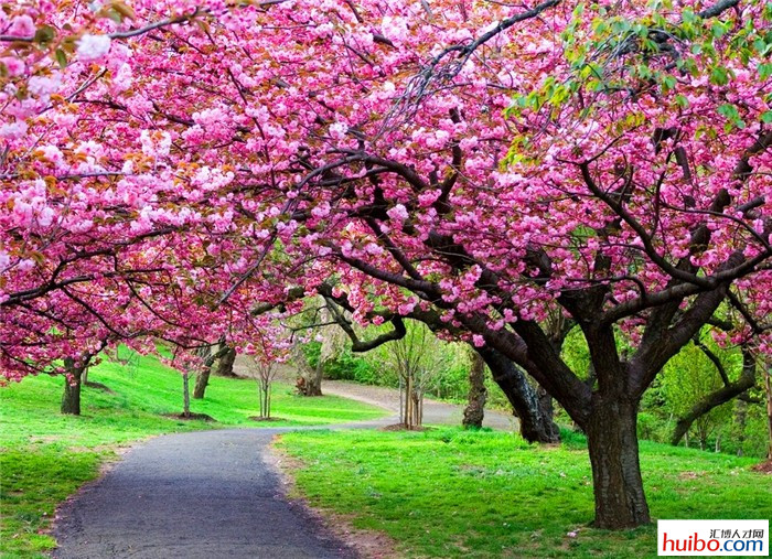 重庆酉阳桃花源确实美 (重庆酉阳桃花源未解之谜)