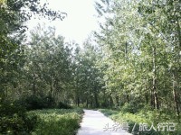 江苏宿迁泗洪简介,我的家乡在泗洪哪里