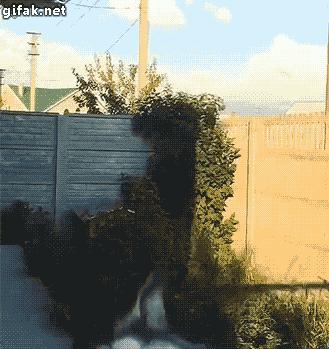 万一我要是动了，他不顶了可怎么办啊！