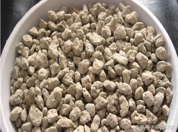 粗河沙可以当多肉的铺面石吗,多肉铺面石用小石子可以吗