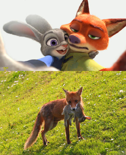 我眼花了怎么办,眼花有救了太实用了