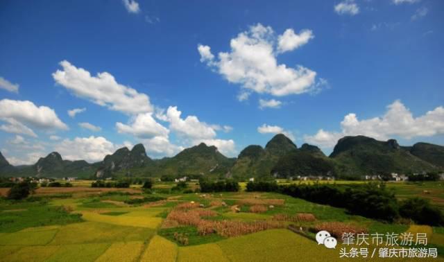 广肇城际轻轨最新官方消息,广肇城际在广州哪儿上车