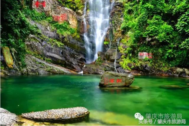 广肇城际轻轨最新官方消息,广肇城际在广州哪儿上车