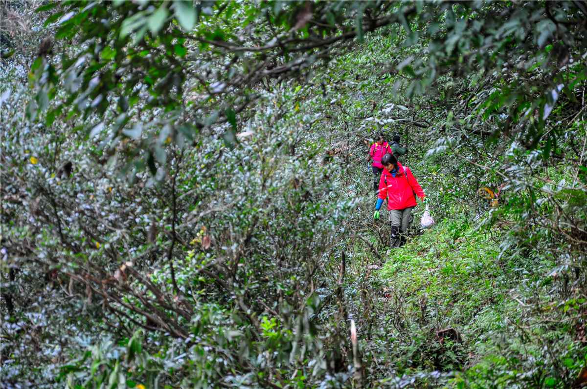 侠之梦受邀参与恩施坪坝营线路测试，冬季溯溪，冰冷刺骨，第一天