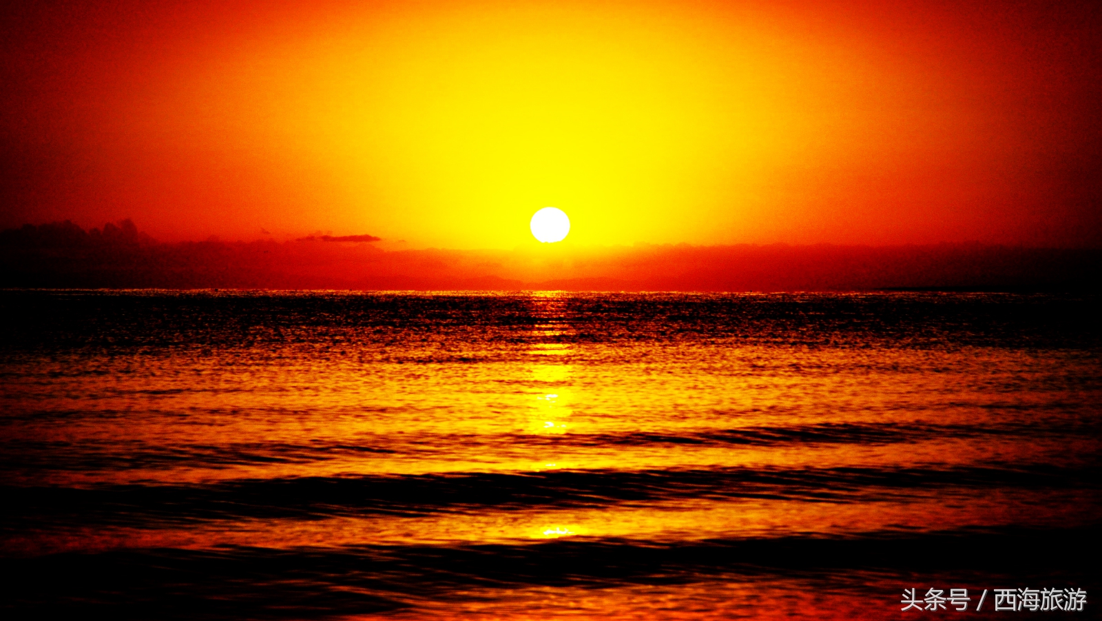 刀郎《西海情歌》背后的故事,刀郎的西海情歌指的是哪里的海