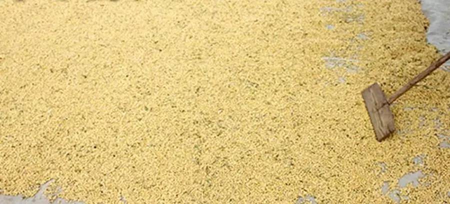 父亲的秋天现代文阅读,父亲的秋天阅读答案