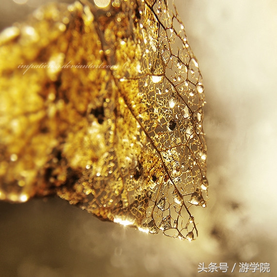 摄影答疑,解答摄影问题