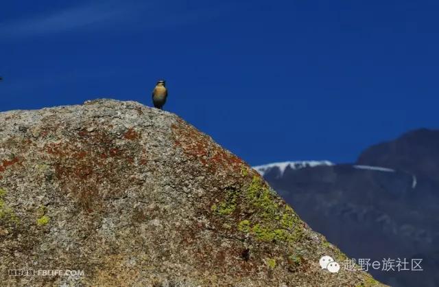 开着房车旅行说走就走,说走就走出去玩视频