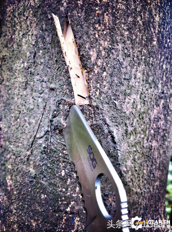 王麻子大马士革钢菜刀,王麻子菜刀好还是大马士革菜刀好