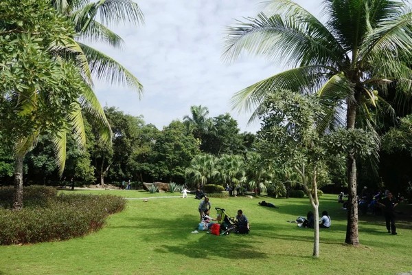 全家到三亚,全家去三亚过春节费用