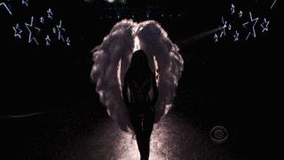 衣不如新人不如旧出处,衣不如新人不如旧下一句