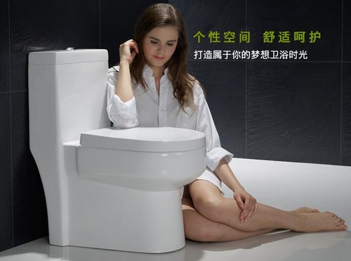 坐便器清洁方法最好的,坐便器与蹲便器哪个节约地方