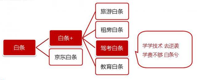 驾考白条｜“零”元学驾照满足您需要