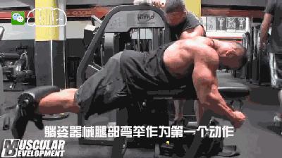 大体重腿部爆发力训练方法,固定器械腿部增肌训练
